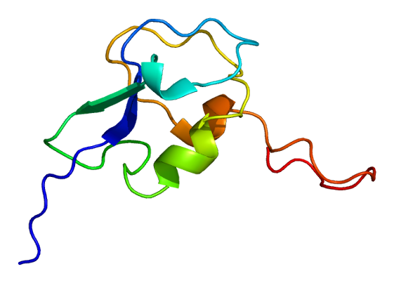 File:Protein NANS PDB 1wvo.png