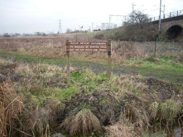 File:Walthamstow Marshes - geograph.org.uk - 93325.jpg