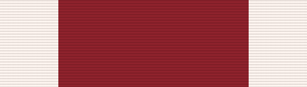 File:Young Marines Lifesaving 3rd Degree Ribbon.png