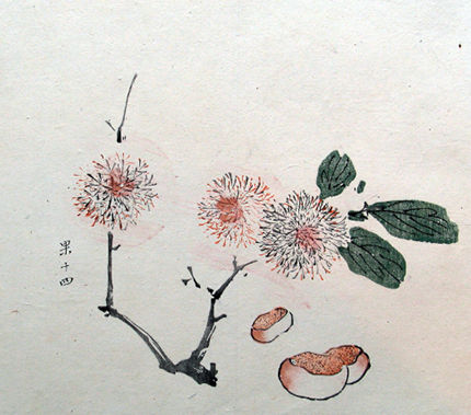 File:Chestnuts - Hu Zhengyan.PNG