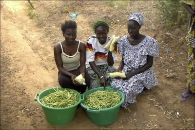 File:Cowpea vendors Thies Senegal 2008.jpg