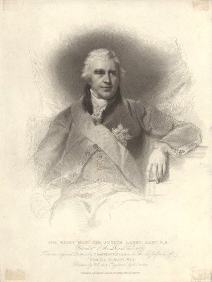 File:Joseph Banks 1810.jpg