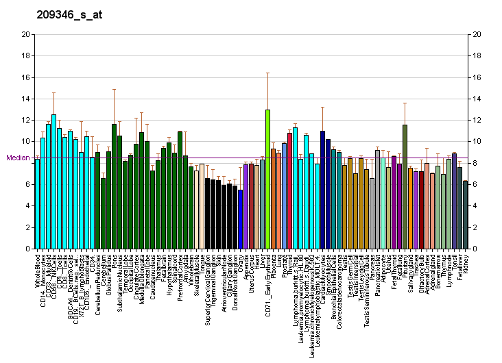 File:PBB GE PI4KII 209346 s at fs.png