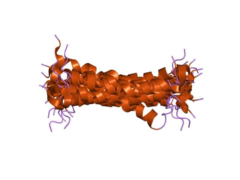 File:PDB 1eze EBI.jpg