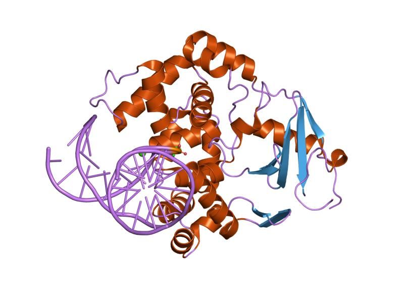 File:PDB 1n39 EBI.jpg