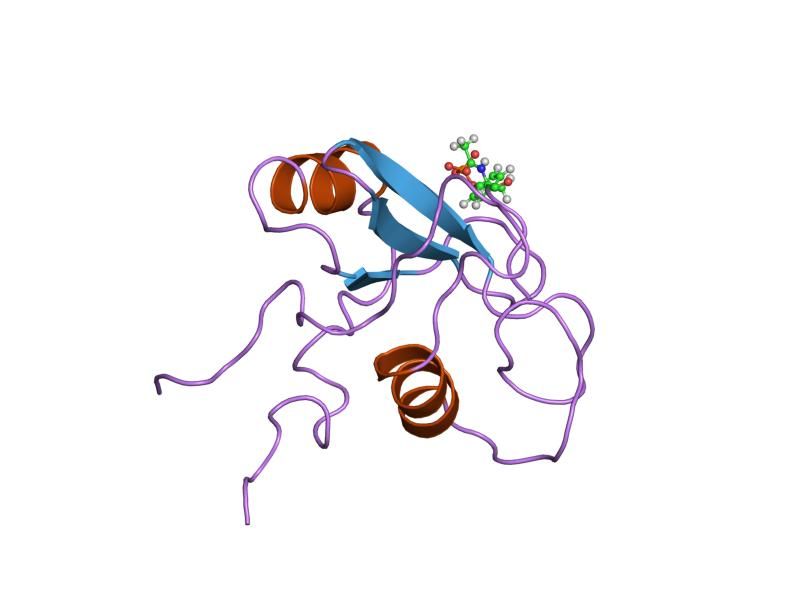 File:PDB 1pic EBI.jpg