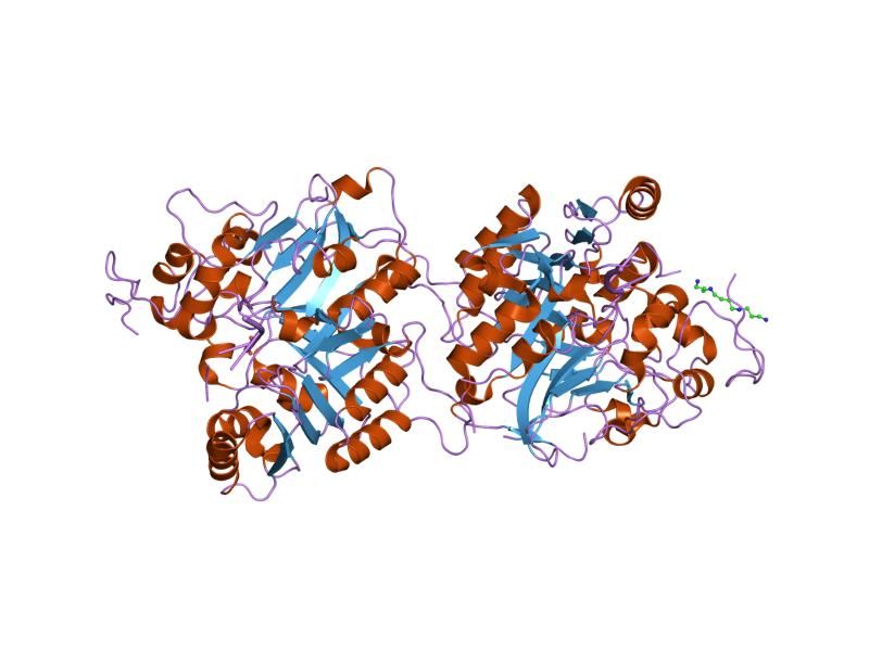 File:PDB 1rfi EBI.jpg