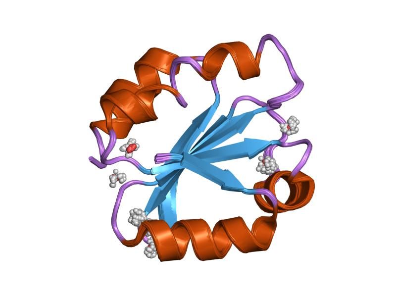 File:PDB 1tru EBI.jpg