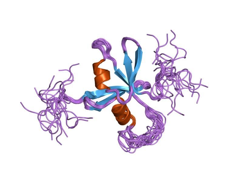 File:PDB 1wgr EBI.jpg