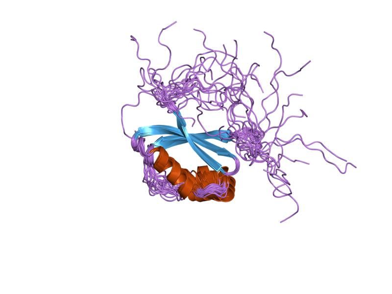 File:PDB 1wib EBI.jpg