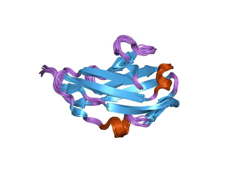 File:PDB 1wvz EBI.jpg