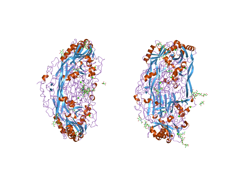 File:PDB 2c10 EBI.png