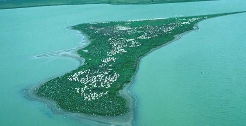 File:Pelican peninsula.jpg