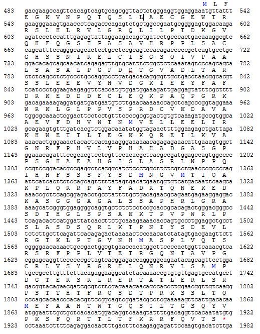 The amino acid make up of the protein produced by the FAM149A gene.