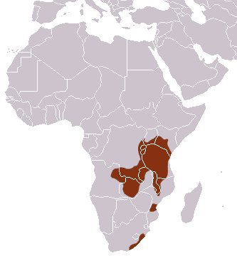 File:Southern Tree Hyrax area.png