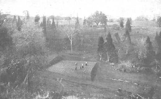 File:Square Green Richmond 1900.png