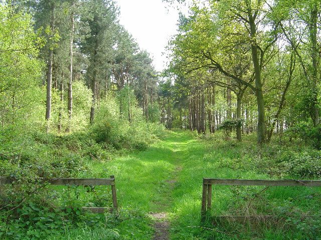 File:Allerthorpe Common-by-Ian-Lavender.jpg