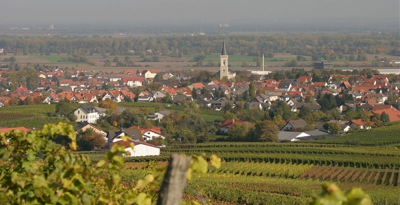 File:Bodenheim von den Weinbergen.jpg