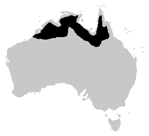 File:Crocodylus johnstoni range.png