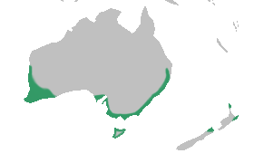 File:Cyrtostylis distribution map.png