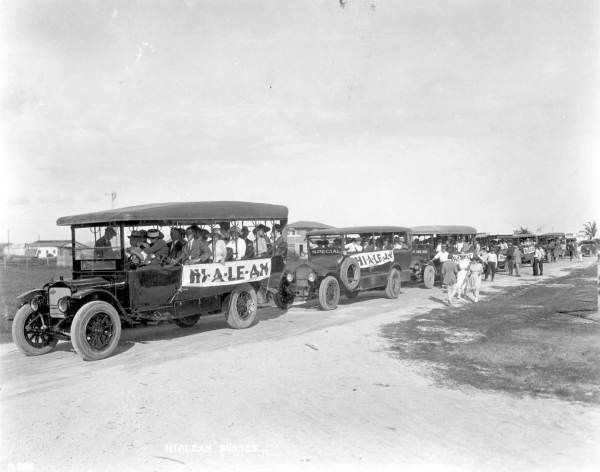 File:Everglades real estate tour buses.jpg