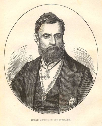 File:Ferdinand Jacob Heinrich von Mueller00.jpg