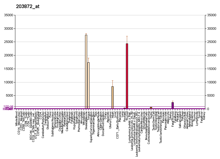 File:PBB GE ACTA1 203872 at fs.png