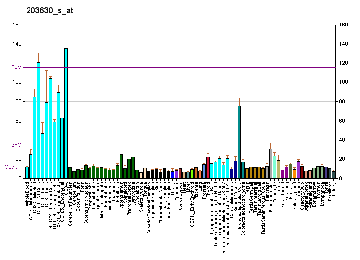 File:PBB GE COG5 203630 s at fs.png