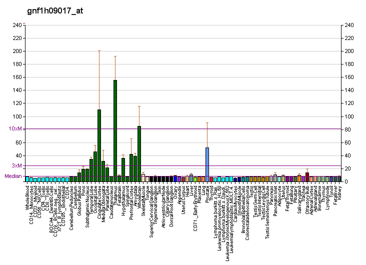 File:PBB GE CPNE4 gnf1h09017 at fs.png