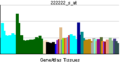 File:PBB GE HOMER3 222222 s at tn.png