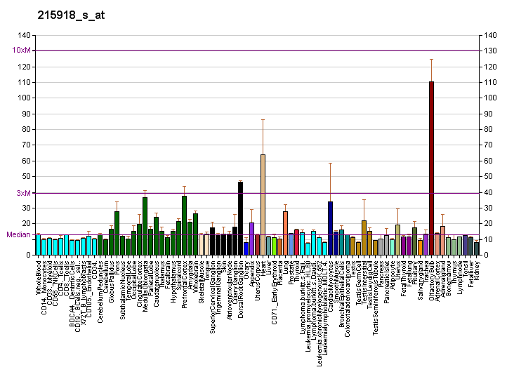 File:PBB GE SPTBN1 215918 s at fs.png