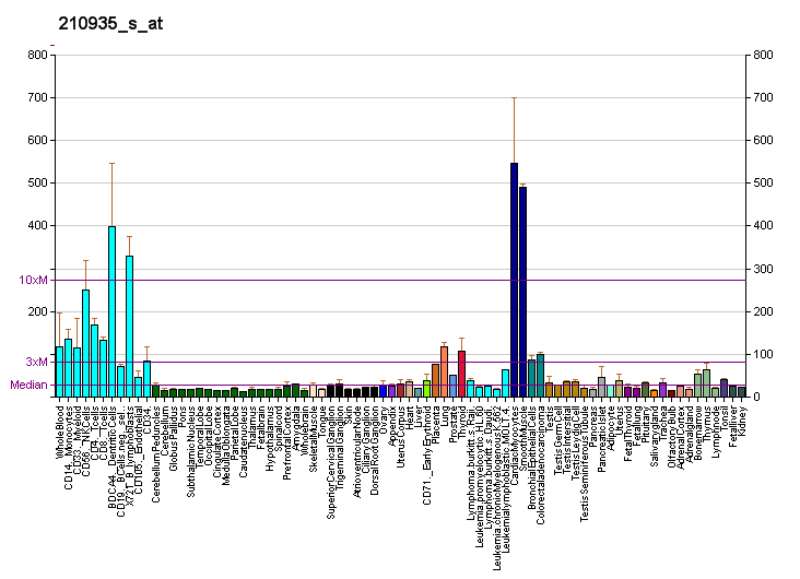 File:PBB GE WDR1 210935 s at fs.png