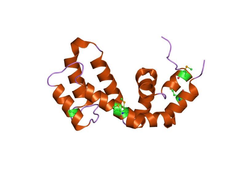 File:PDB 1fqi EBI.jpg