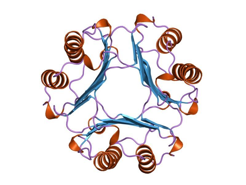 File:PDB 1gif EBI.jpg