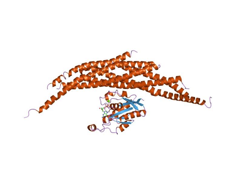 File:PDB 1i4l EBI.jpg