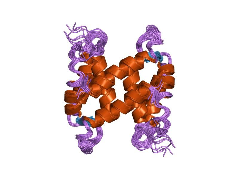 File:PDB 1k2h EBI.jpg