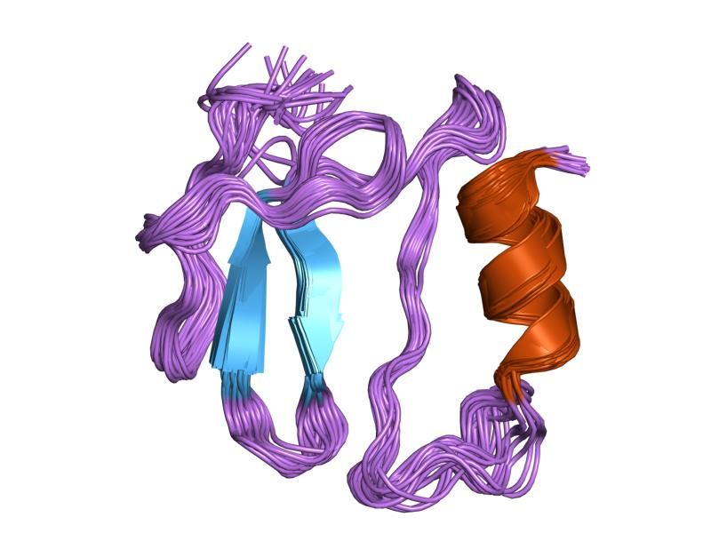 File:PDB 1l3h EBI.jpg