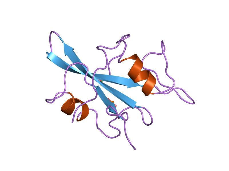 File:PDB 1lkk EBI.jpg