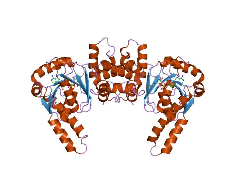 File:PDB 1lso EBI.jpg