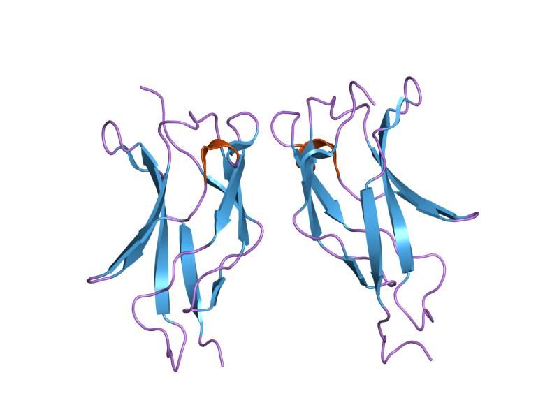 File:PDB 1my7 EBI.jpg