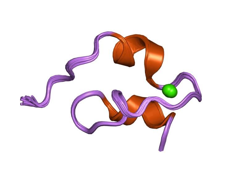 File:PDB 1pb5 EBI.jpg