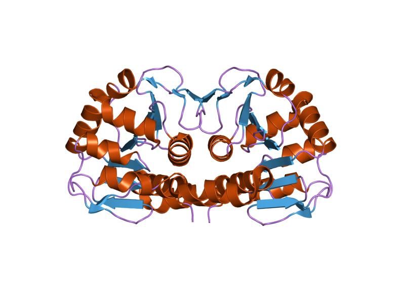 File:PDB 1pe0 EBI.jpg