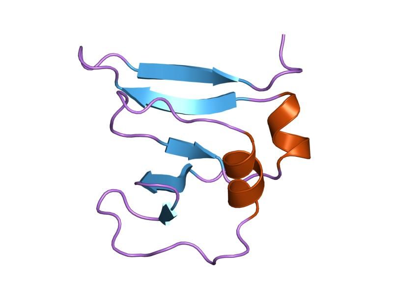 File:PDB 1vcc EBI.jpg