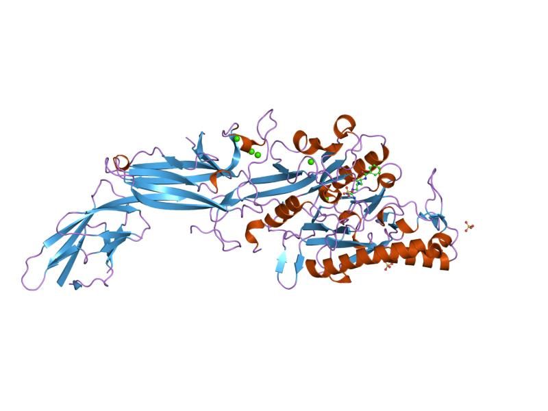 File:PDB 1wda EBI.jpg