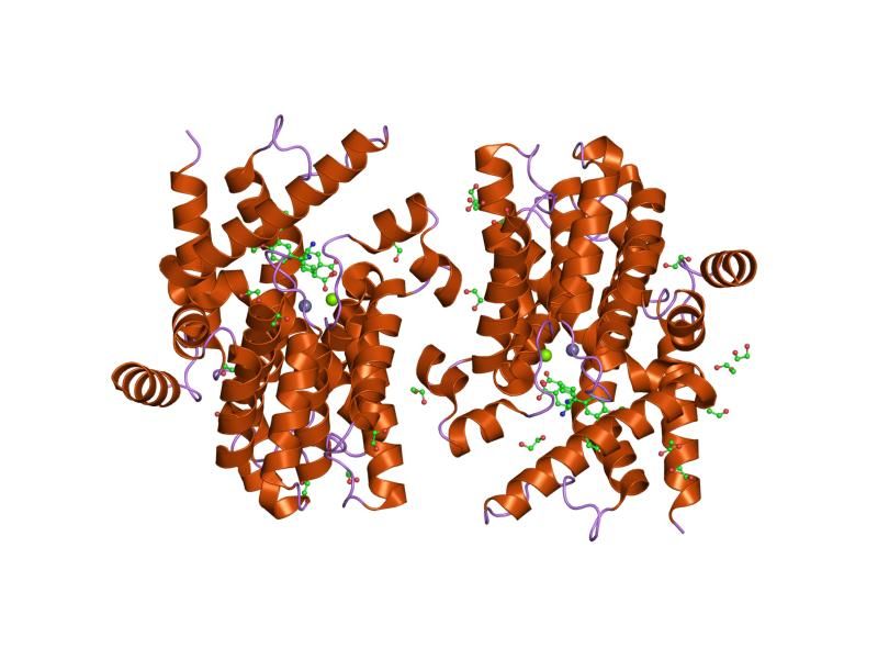 File:PDB 1xom EBI.jpg