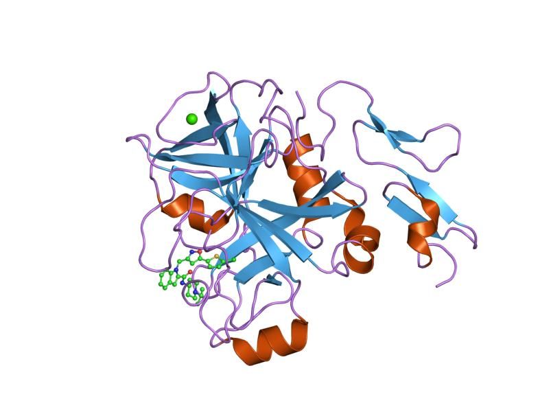 File:PDB 2boh EBI.jpg