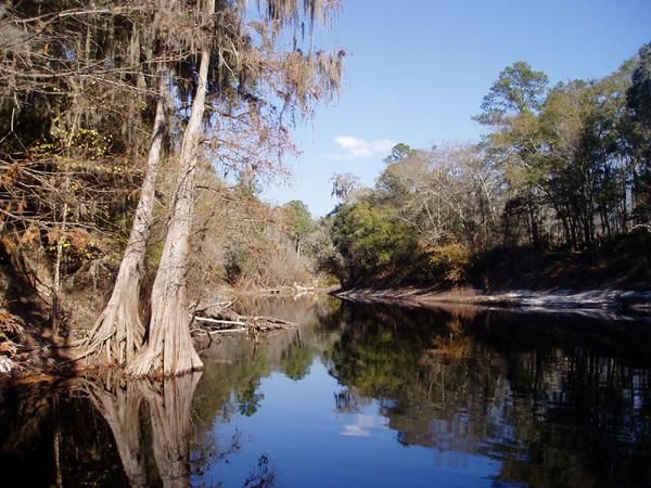 File:SuwanneeRiverStatePark.jpg