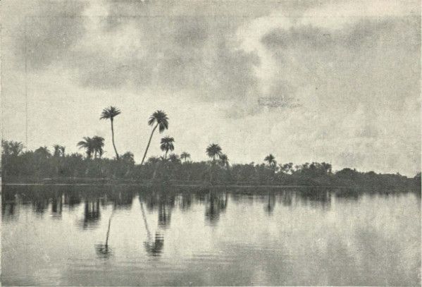 File:The Adyar River, 1905.jpeg