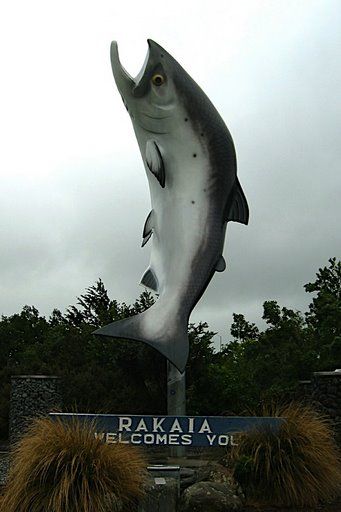 File:BigSalmon Rakaia.jpg