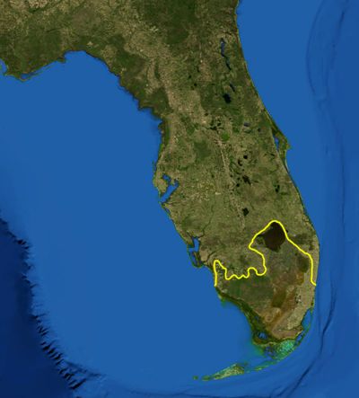 File:Everglades ecoregion.jpg